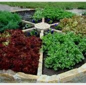 Приподнятая круглая клумба с бортами из дикого камння и разноцветными растеними в её фрагментах