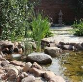 Каменистые берега небольшого водоёма и излив в борте и растение в воде с острыми листьями на фоне стены с японским фонарём