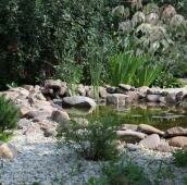 Водоём с берегом оформленным камнем различного цвета и размера и растения вокруг него