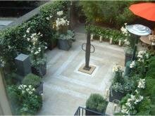 На мощёной камнем площадке современные контейнеры с белыми лилиями и ампельными растениями и стриженные в шары кустарники и лины в живой изгороди