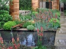 Водоём и площадки и кустарники и цветники