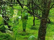 Полупрозрачные человеческие силуэты на фоне леса 