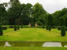 Стриженные формы кустарники на фоне газона и взрослых лиственных деревьев на заднем плане