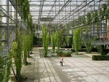 Площадка под металлическими конструкциями увитыми лианами