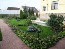 Кайма из многолетних растений