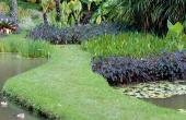Пруд в саду Sitio Burle Marx