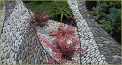 Барбарис и рокарий