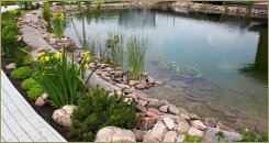 Пруд с цветущим берегом