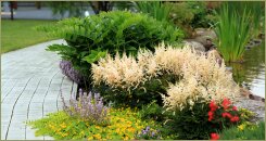 Яркий берег пруда (35-13) Яркий цветущий берег пруда