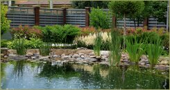 Цветники вдоль воды