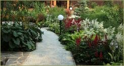 Теневые цветники