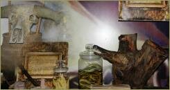 Азиатский сад специй На узкой полке банка со змеями и банка с куриными лапками и череп барана и шкатулка и письмена в рамках