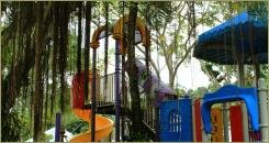 Детский игровой комплекс под дереьями на фоне воздушных корней лиан