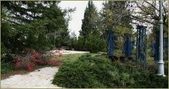 Хвойные деревья и кустарники и куст с красными ягодами и деревья без листьев на фоне дорожек в парке