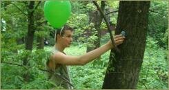 В Израиле научили деревья отправлять SMS