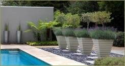 Горшки конусовидной и трапециевидной формы с растениями на гравийной отсыпке и площадке рядом с бассейном на фоне групповых посадок 