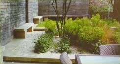 Многоствольное дерево на фоне стриженых кустарников и скамеек и забора и стол с креслами