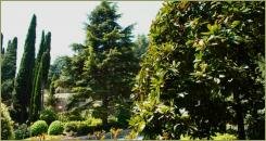 Партенит Майские каникулы в Крыму: памятник садово-паркового искусства "Айвазовское"