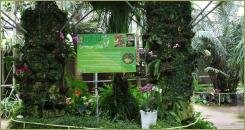 Композиция с орхидеями на входной зоне парка На вертикальных столбах увитых ампельными зелёными растениями точечное цветение розового и белого цвета на фоне тропических растений