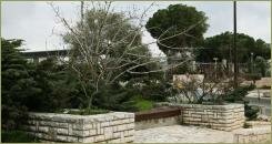 Кустарники без листьев в приподнятых посадочных карманах из белого камня и скамейка на фоне хвойных и мощёной площадки