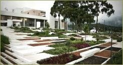 Ступени из светлого камня и растительные композиции разного цвета