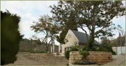 Большая лестница светлого камня и посадочные карманы с деревом и цветущими растениями на фоне одноэтажного строения