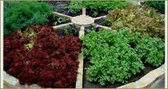 Приподнятая круглая клумба с бортами из дикого камння и разноцветными растеними в её фрагментах