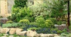 Деревья и декоративные кустарники и травянистые многолетники и однолетники на приподнятой грядке вдоль стены 