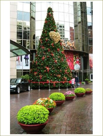 Большая рождественская ель возле торгового центра на фоне мокрых от дождя дорожек